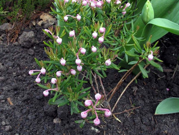 Фотогаллерея