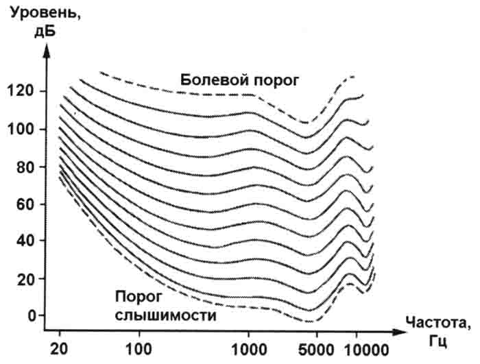 Частота звуковой волны воспринимаемая человеком. Частота звука Гц. Диапазон звуковых частот. Диапазон громкости. Слышимый диапазон звука.