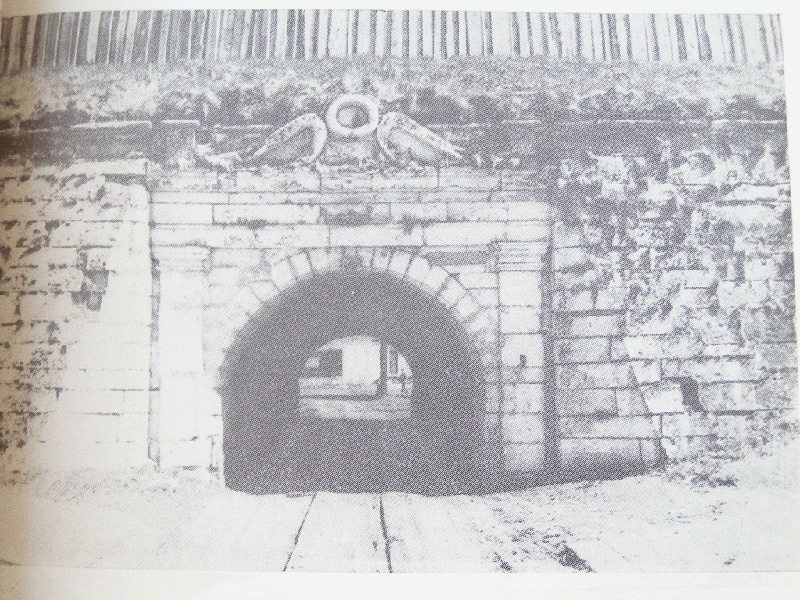 ������������ �������� ����������� ������