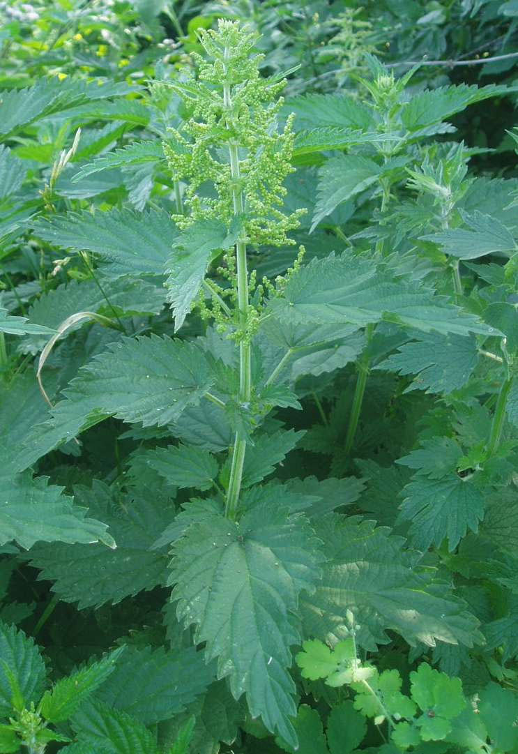 Фотогаллерея