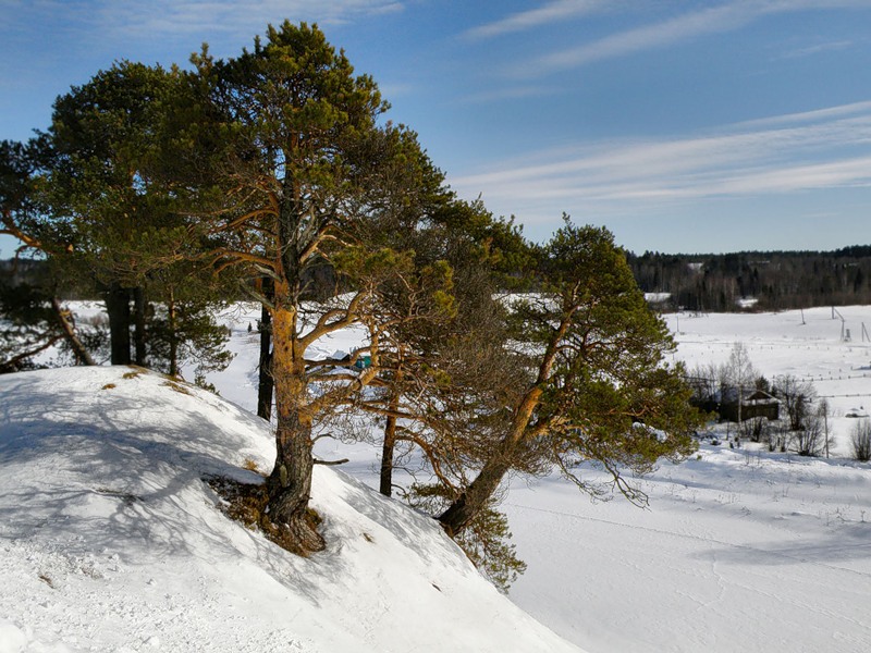 2012