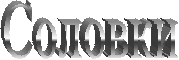 v:shapes="_x0000_s1031"